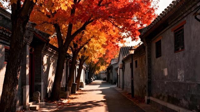 打卡金秋中国！京秋绘卷：漫赏红叶与山水的诗意旅程
