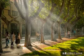 @西工大人 母校喊你回“家”！图片