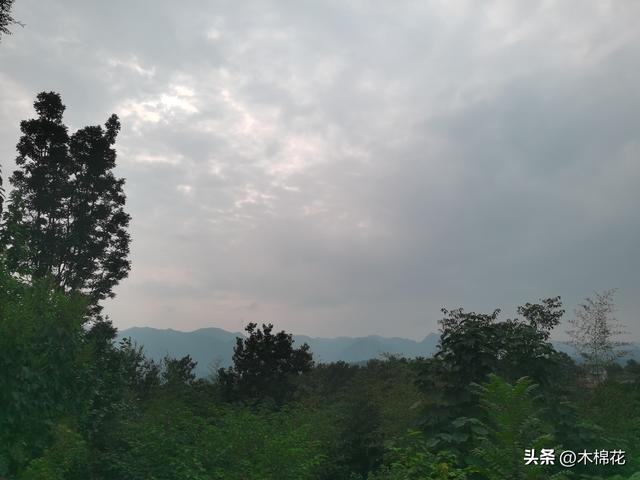 携宠出行第三天