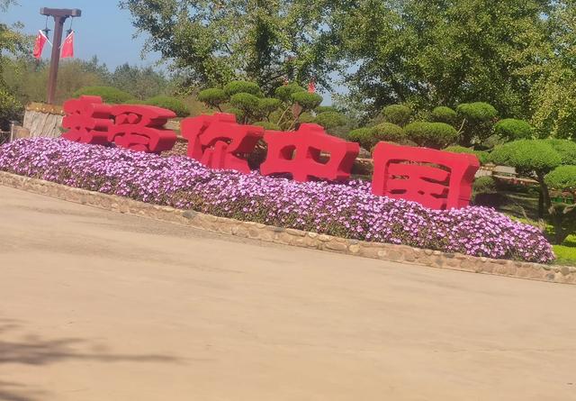 中日航班取消了，一些中国游客滞留日本，他们想回国，但是回不去