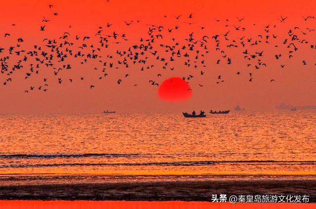 这个冬天，来秦皇岛追一次朝阳！