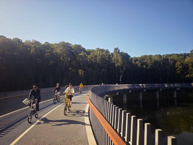 龙华新“骑”点，奔向2026骑行随拍1129