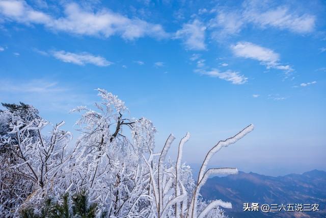 “冷不冷，就看八月初八”，今日八月初八，今年是60年一遇冷冬？