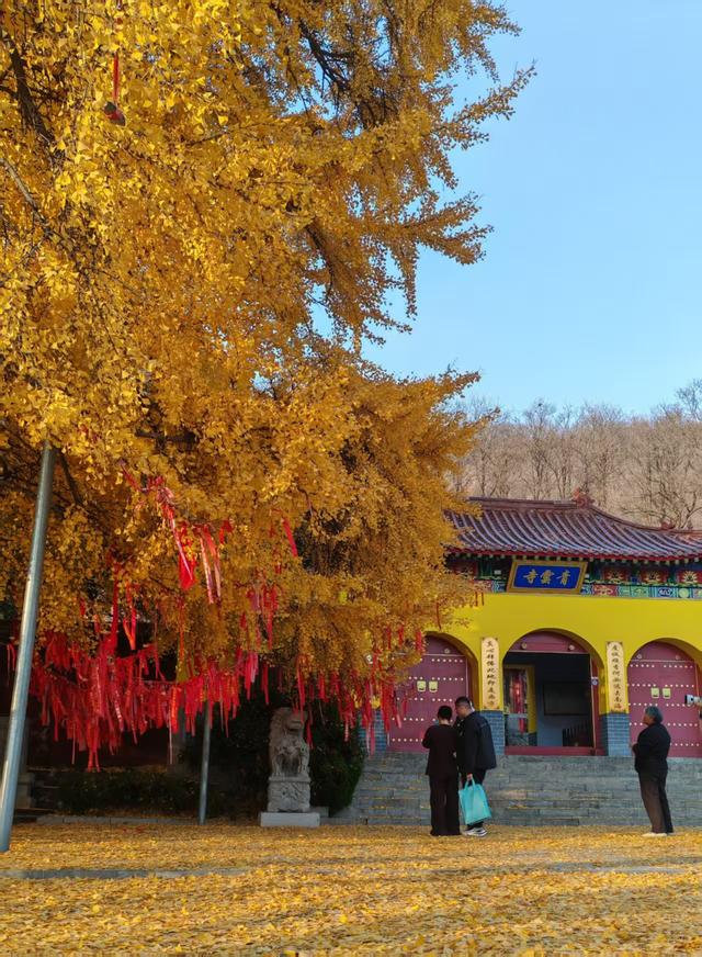 公冶长书院的文化融合