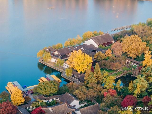 南京此地的秋意拉满了，不是栖霞山！