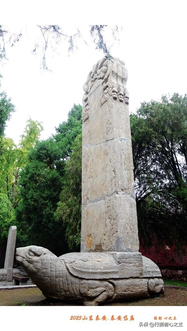 山东行游影记（307）—泰安岱庙（三）