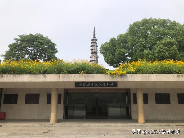 这个杭州秋日浪漫公园真一眼心动，有火车加成，地铁直达且免费！