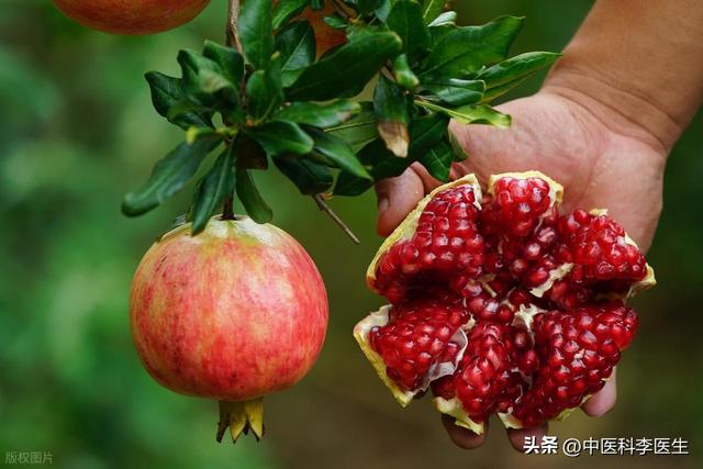 石榴再次引起关注！老话说“一个石榴五副药”，功效和禁忌需搞清