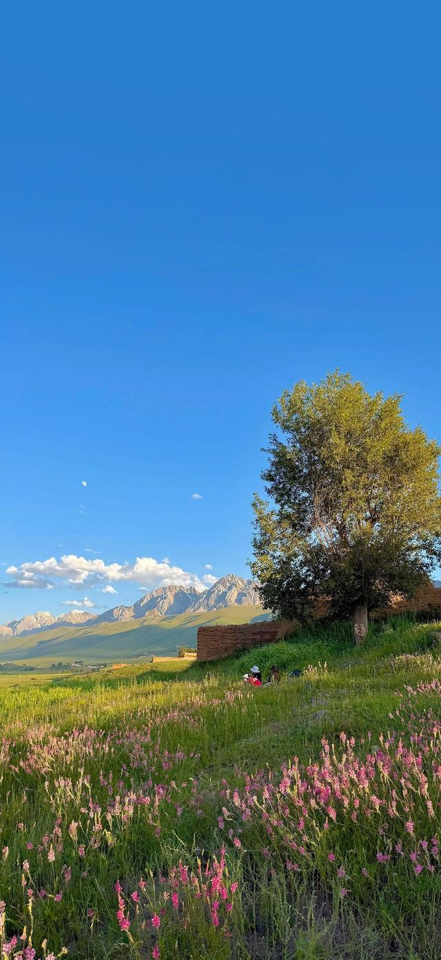 手机壁纸|自然风光，风景如画