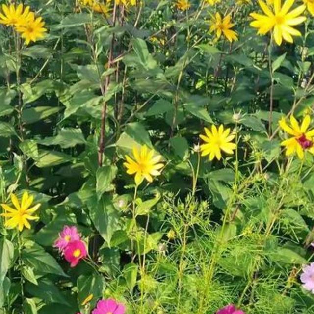 女人隐私为什么只给丈夫看？一位女性说出了看法！让你大开眼界