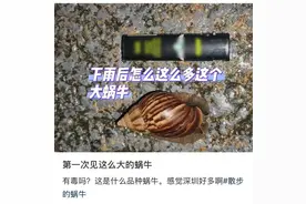 福建开展专项行动！近期路边看见它们，千万别碰！图片