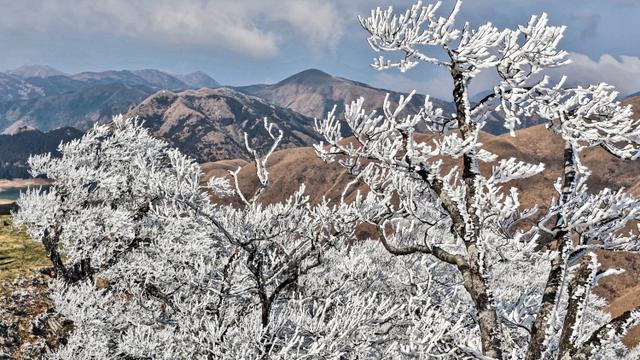 桂林高寒山区现冰挂雾凇美景