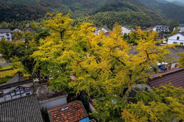 10月下旬-11月中旬，适合去的7个小众赏秋胜地，藏着浓浓秋色