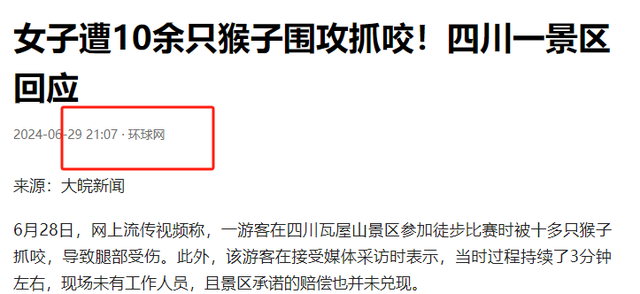 伤害1只也不行！2024年女游客徒步比赛被抓咬，十余只持续3分钟