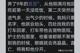 养狗的人什么时候觉得狗也爱着你？没想到狗这么爱自己的主人！图片