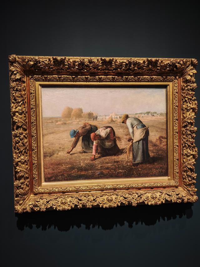 鹏少眼中的上海：亮点确实多，但也有槽点