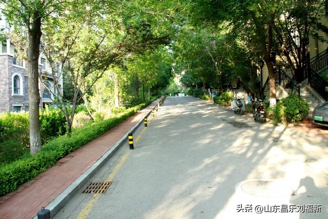 首阳山路上·骤遇老学生·及其它