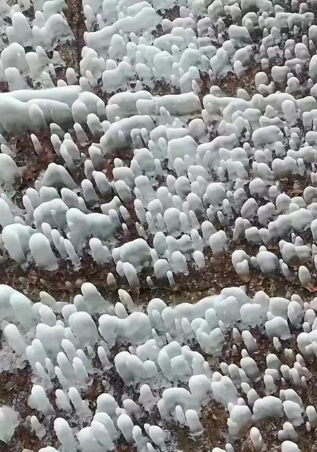 冬日奇境！巩义青龙山冰瀑即将“上线”