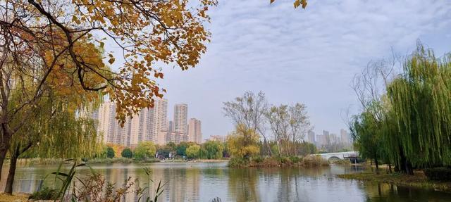 五彩斑斓！龙潭公园的初冬彩林，总有一抹色彩温暖你！