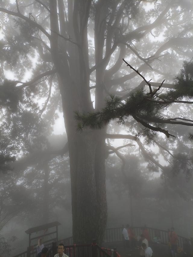 终南山.南五台—不负遇见