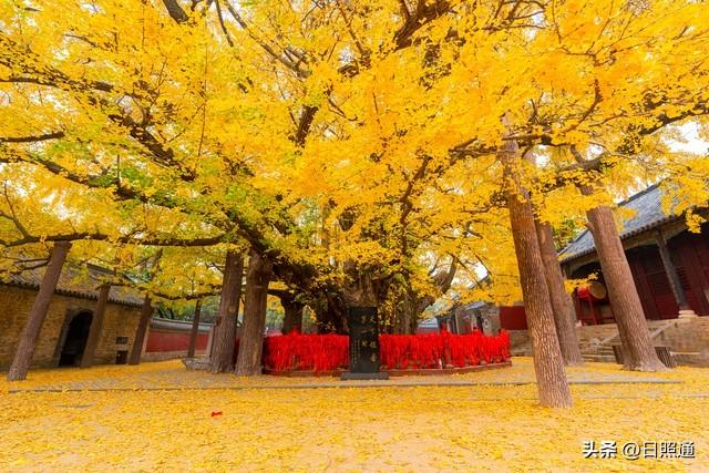 别挤青岛了！十一来日照这5个地方，美到窒息还人少！