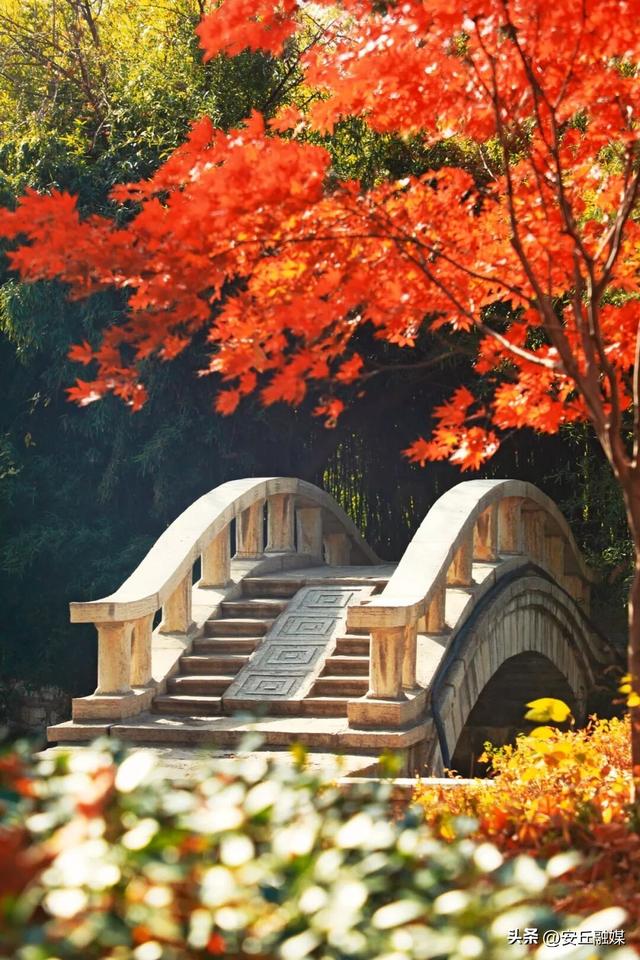 收藏贴！带您玩转潍坊的湖光水色