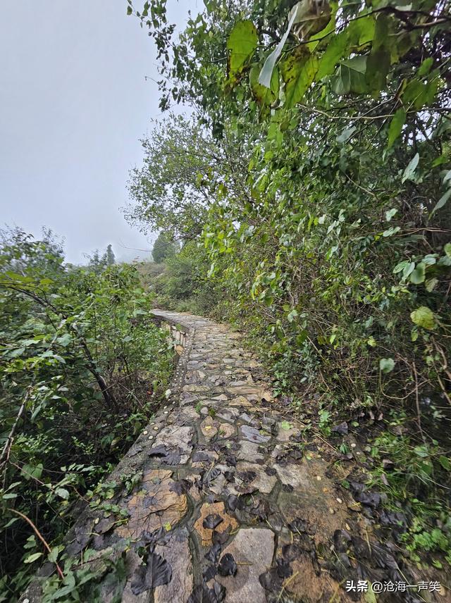 大山的世界，只有美不胜收的风景，只有崎岖不平的山路，一起打卡