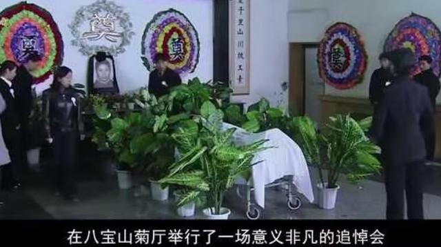 两度辍学考上北大	，24岁葬于八宝山，撒贝宁含泪致悼词，她是谁？