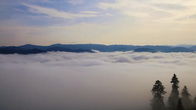绿春县迷克茶山:云巅日出,一场温柔奔赴