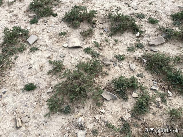 鄂尔多斯市达拉特旗田野考察笔记