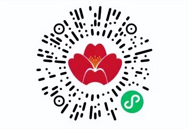 从“心”启航，翼展新篇！青岛机场转场四周年出行福利抢先看