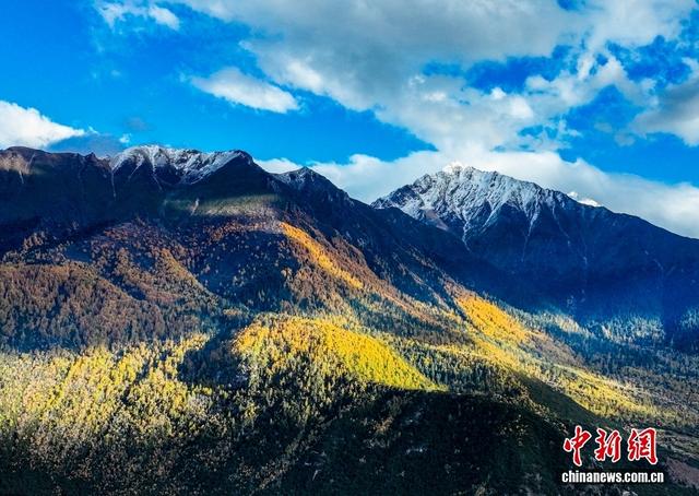 西藏林芝：雅鲁藏布大峡谷秋景如画