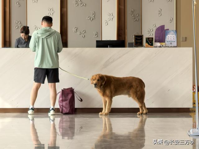 北上大草原第5站：内蒙古乌兰布统