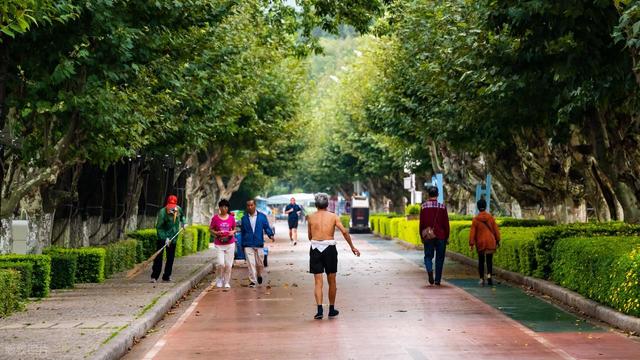 人不会无故心律失常？研究发现：心脏出现问题，背后有5点原因