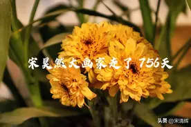 宋清辉：应试教育最不公平 再不改将埋没更多孩子 宋昊然走了756天图片