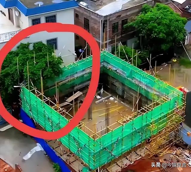 豪宅风波再次升级！全红婵夺冠仅10天	，恶心的事发生了，全爸苦笑