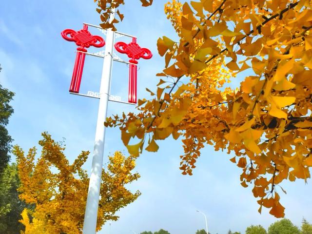 近日，铜山湖大道变了样......