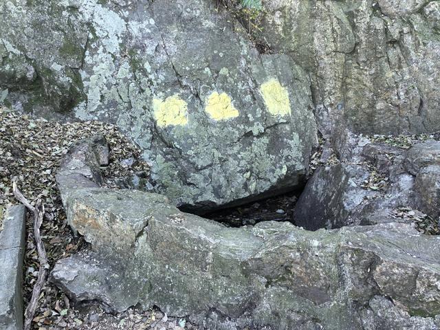 南京紫金山郊野徒步