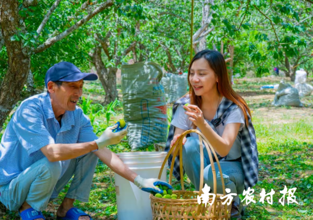 千年禅都何以兴？