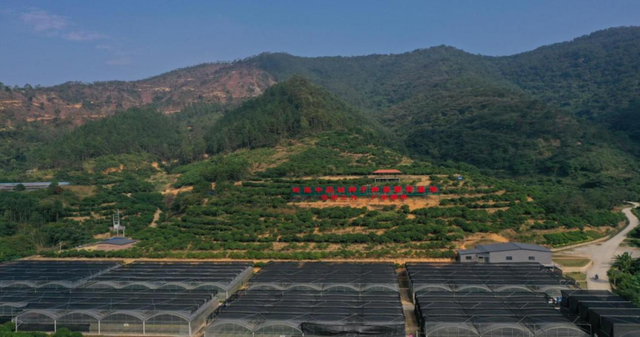 前锋三九银田南药园正式上线“乐游广东”文旅地图！