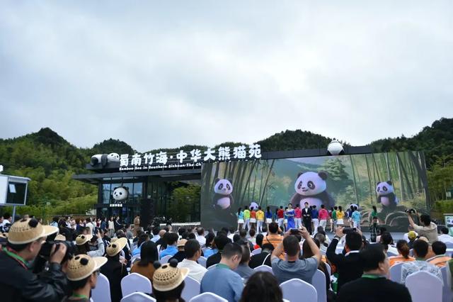 长江之头,“潮”得超乎想象