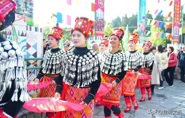 跟着滇超游昆明 | “鸥”然心动！打卡日记已备好，观鸥季精彩继续~
