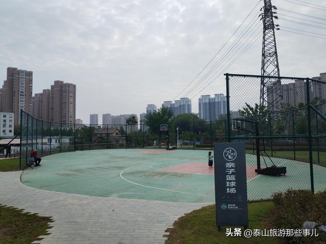 泰安：泰山下一个街角公园火了，有百米粉黛花海，错过要再等一年