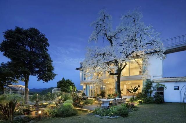 “崃”徒步｜在竹海茶山间，听山风吟唱丝路往事