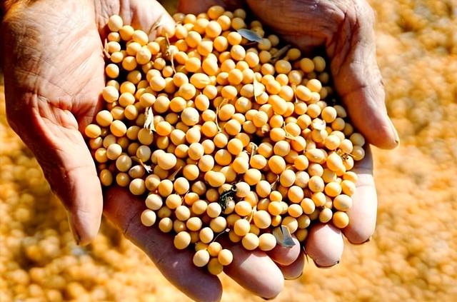 美方派人来华，中美在北京会谈，特朗普宣布：美拿下百亿美元大单