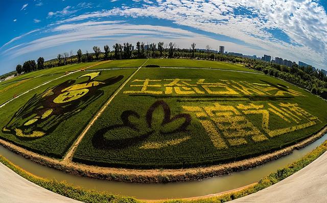 年会抢先看 | 打卡通州！9条特色文旅线路，解锁千年运河新玩法
