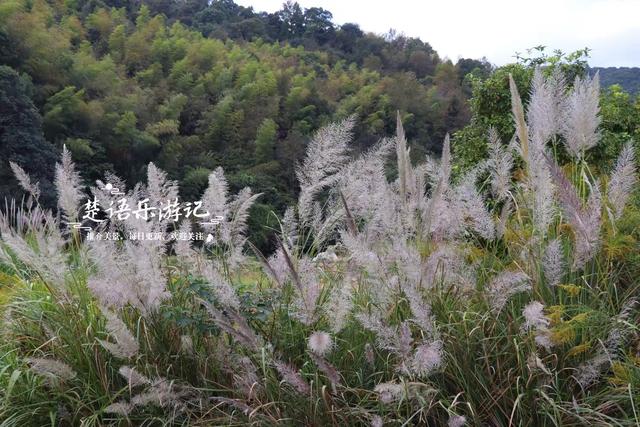 宁波宁海的10公里长溪，不仅是绝美玩水胜地，秋季的风景也很秀丽