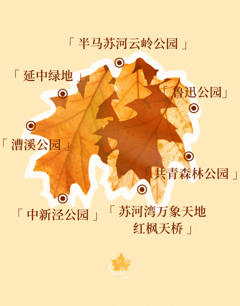 周五宠粉日｜枫叶红“疯”了！沪上市区赏枫运动好地分享，更有运动好礼等你来领！