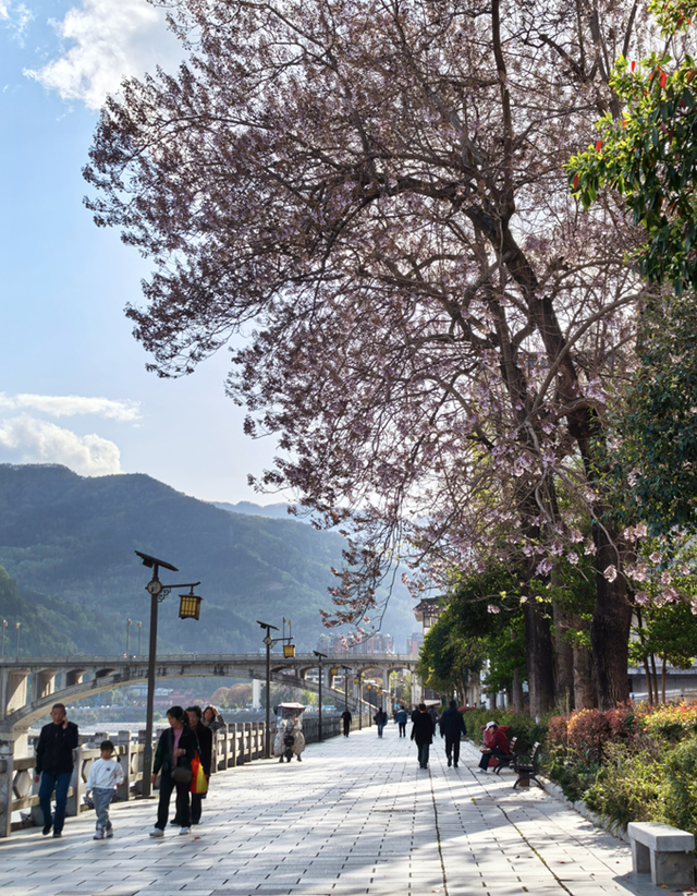 青睐绵阳 || 这个春天，来平武赴一场Color Walk