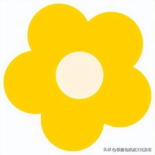 秦皇岛集发暑期项目及营业时间调整，快乐不打烊！